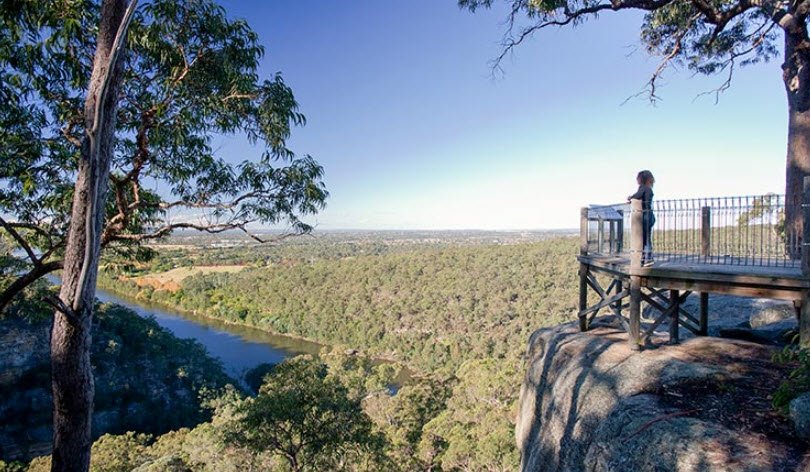 Glenbrook Native Plant Reserve and Nursery, Glenbrook, New South Wales, Australia, Australia